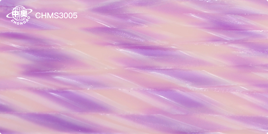 CHMS3005