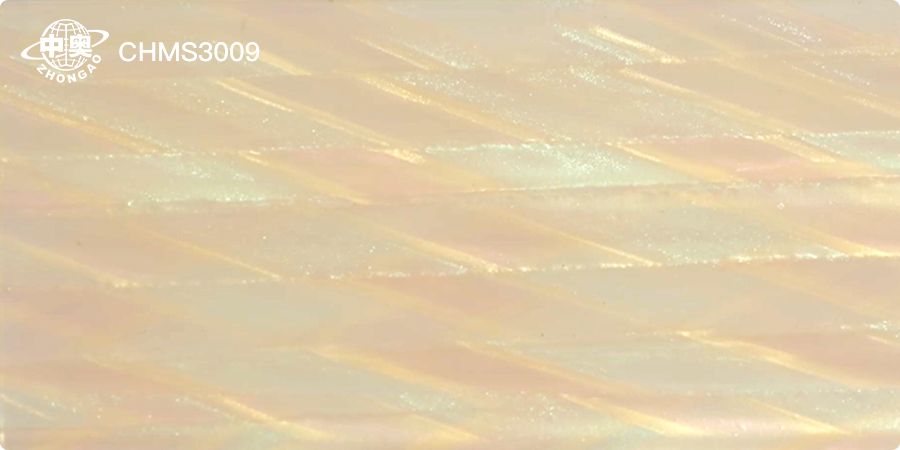 CHMS3009