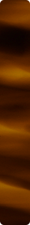 CHR18016
